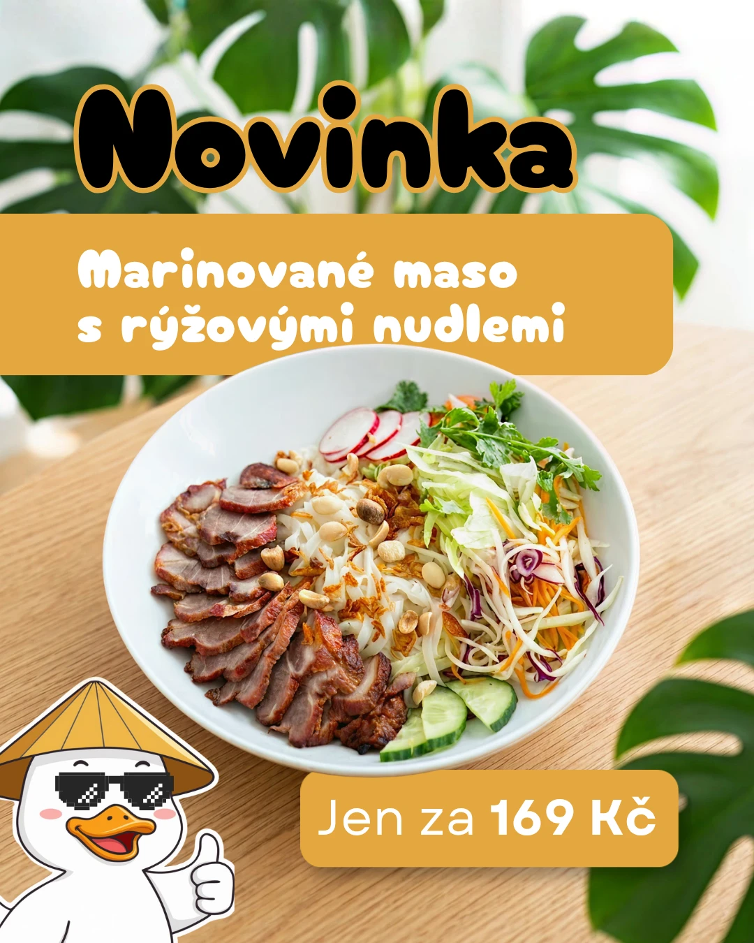 Novinka — Marinované maso s rýžovými nudlemi