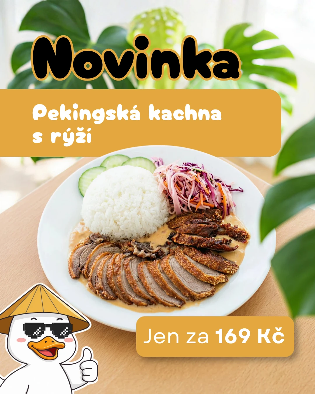 Novinka — Pekingská kachna s rýží