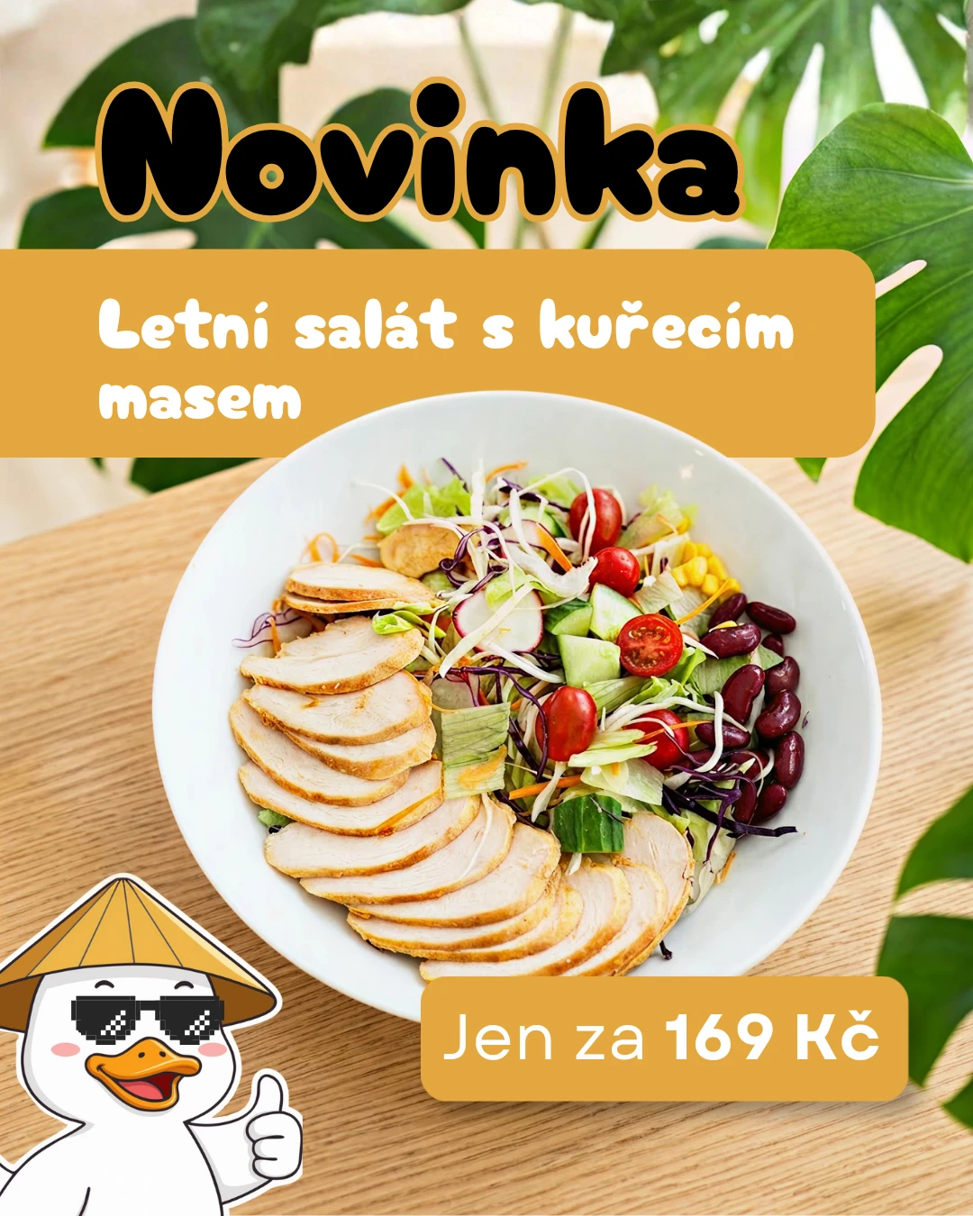 Novinka — Letní salát s kuřecím masem